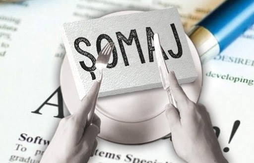 somaj tehnic vechime in munca