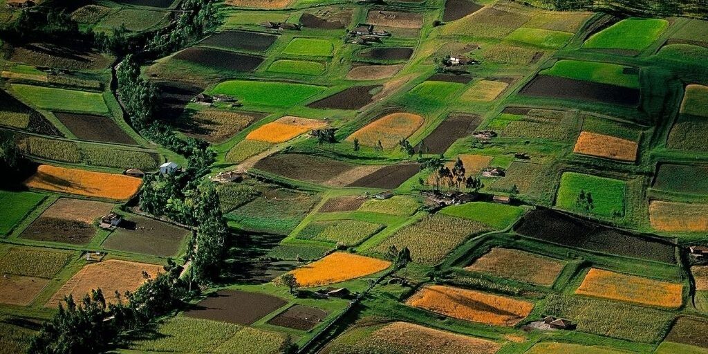 avocat imobiliare timisoara avocat imobiliare timisoara