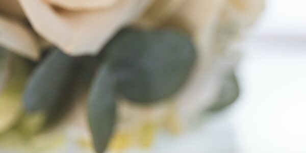 divort Timisoara locuinta copii ultima locuinta divort Timisoara locuinta copii ultima locuinta