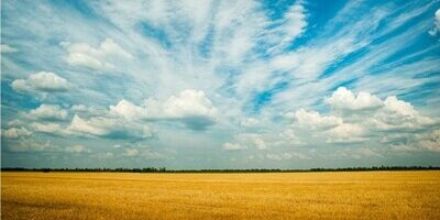 Vanzare terenuri tranzactii Vanzare terenuri tranzactii