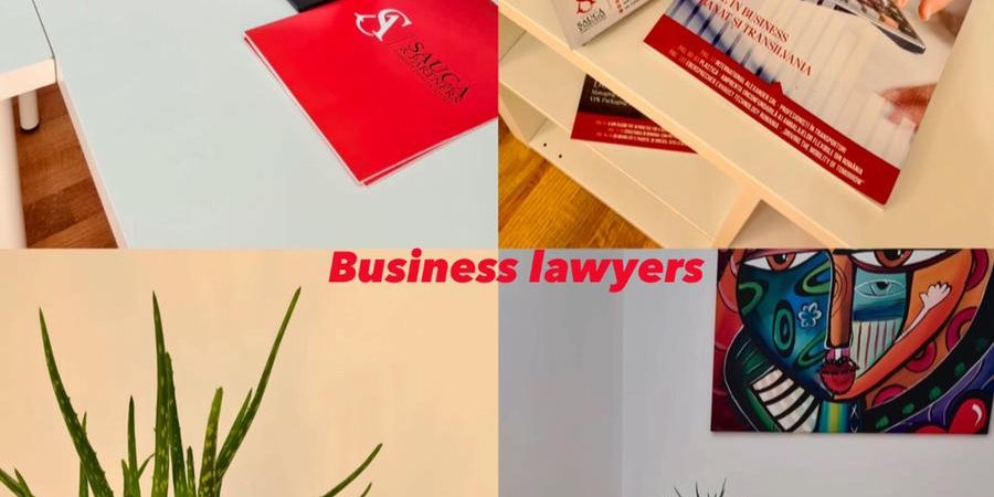 Inactivitate fiscala avocat si contabil Timisoara