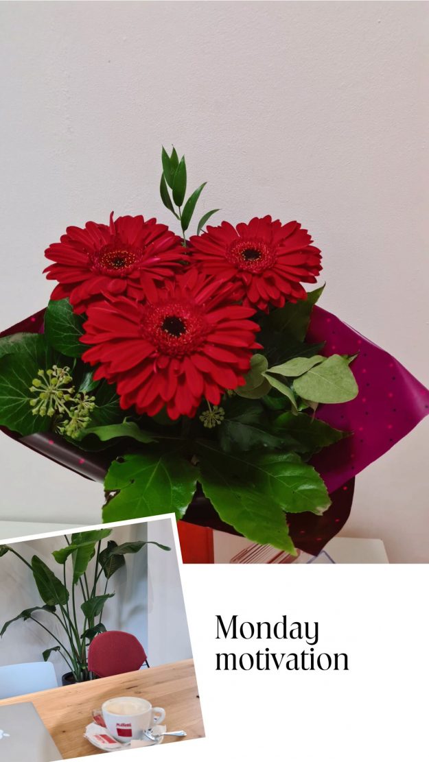 noutate dreptul muncii somaj tehnic noutate dreptul muncii somaj tehnic