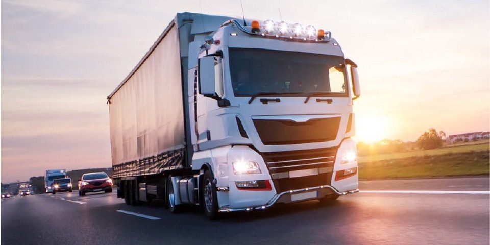 avocat diurna avocat diurna