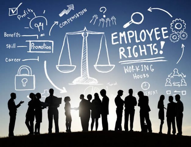 labour law lawyer timisoara labour law lawyer timisoara
