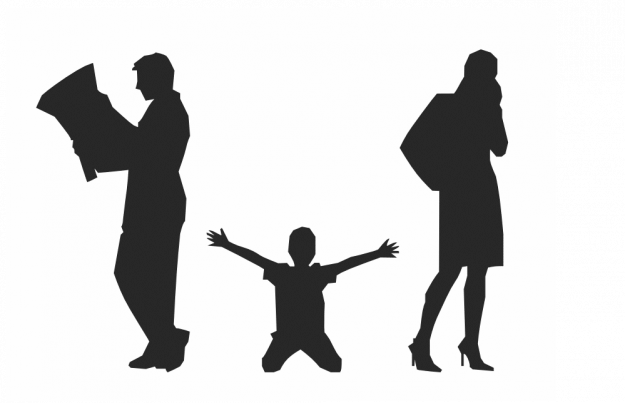 Program vizita minor