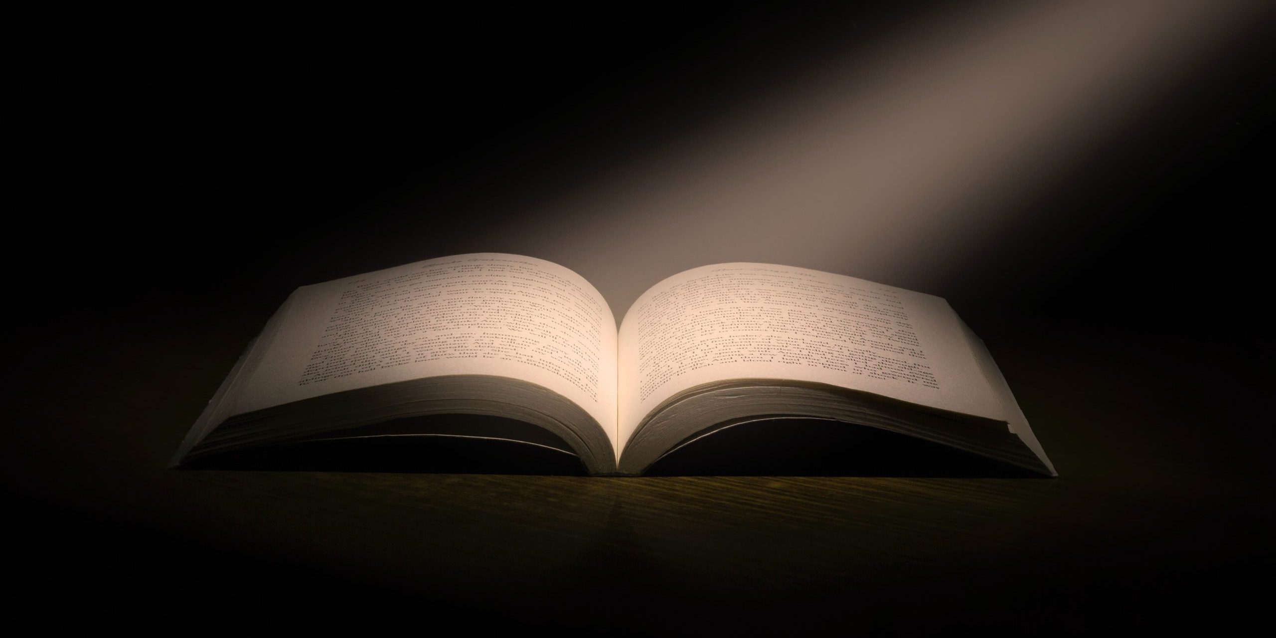 Avocat timisoara business comercial societati societate comerciala partener