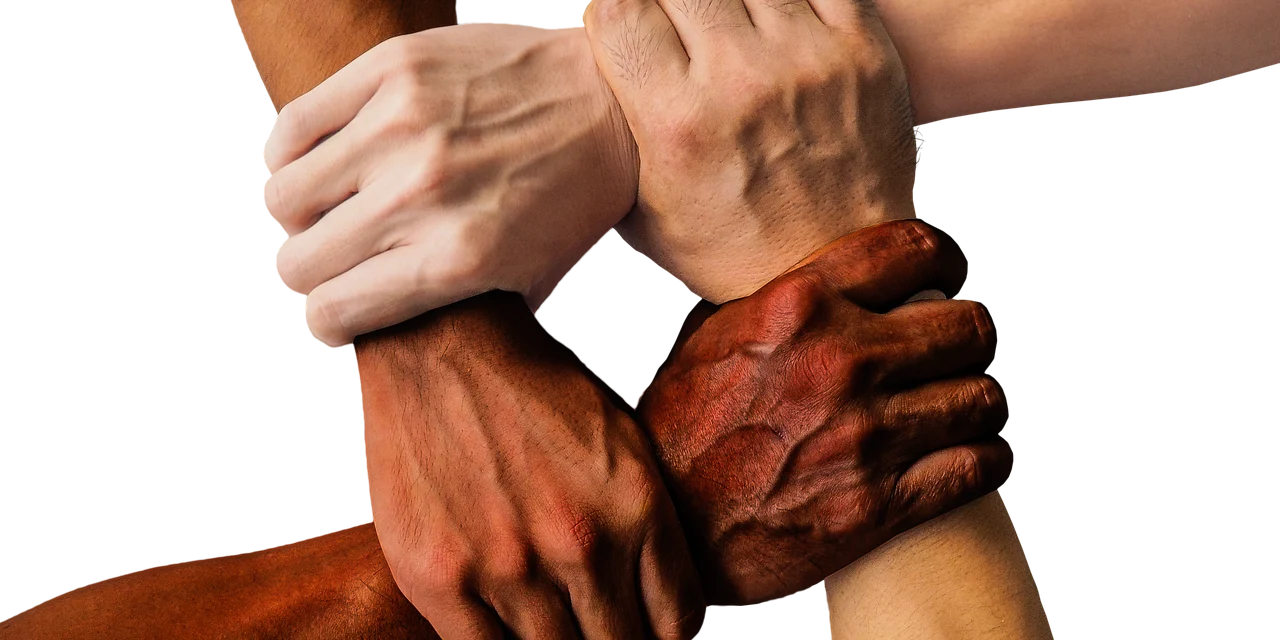 documente infiintare sindicat nou avocat timisoara documente infiintare sindicat nou avocat timisoara