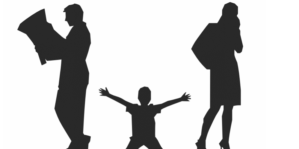 Ordonanta presedintiala program de vizita minor