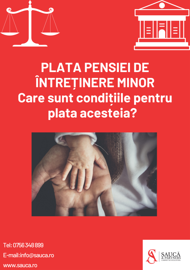 pensie de intretinere minor pensie de intretinere minor