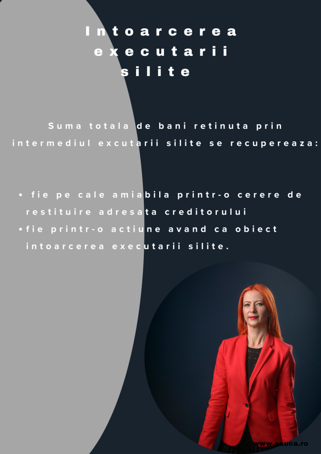 Intoarcere executare