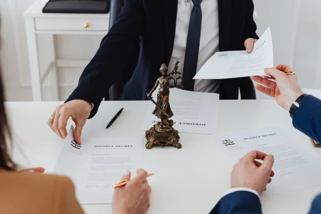 avocat timisoara avocat timisoara