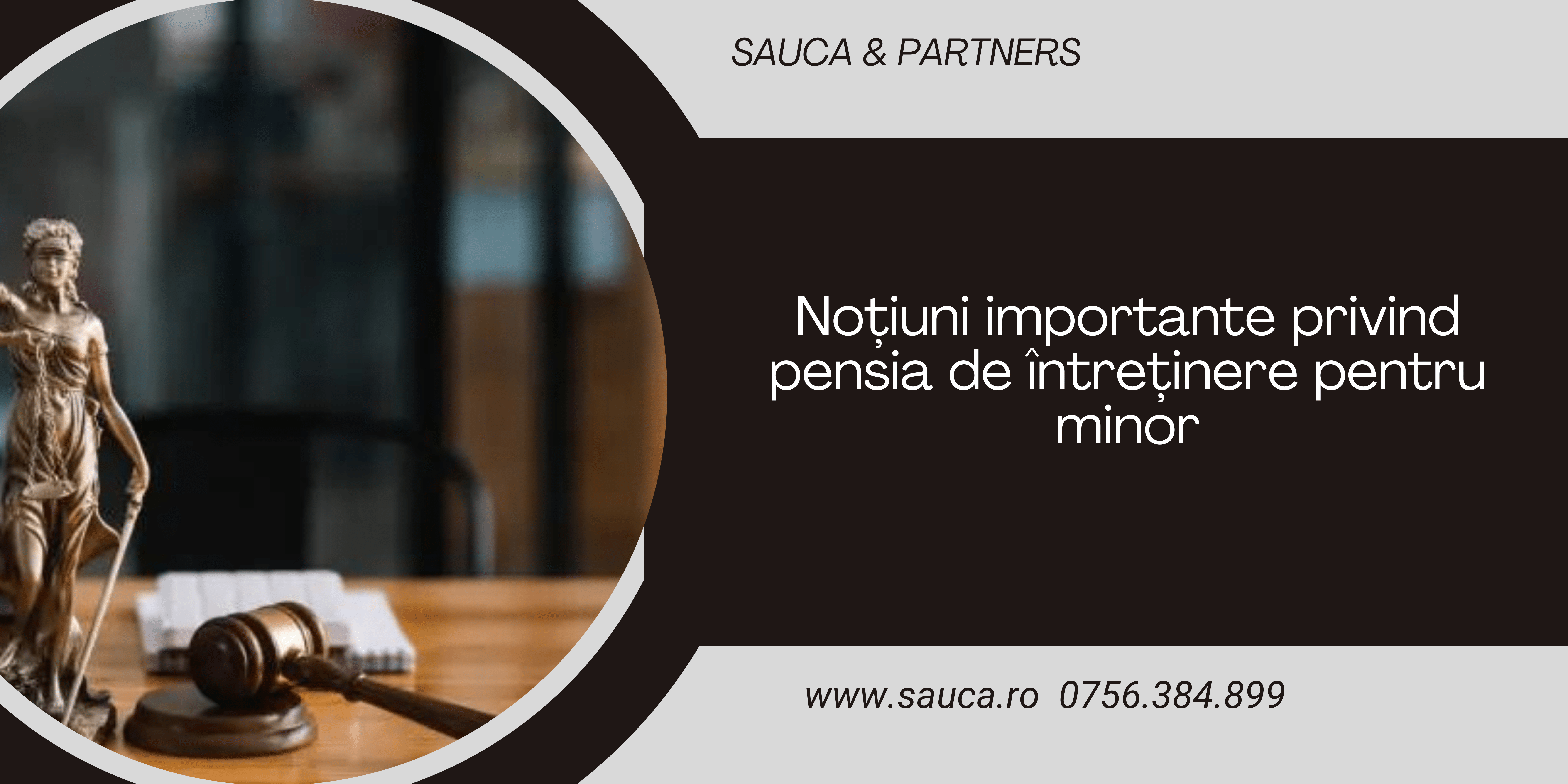 Pensia de itnretinere minor