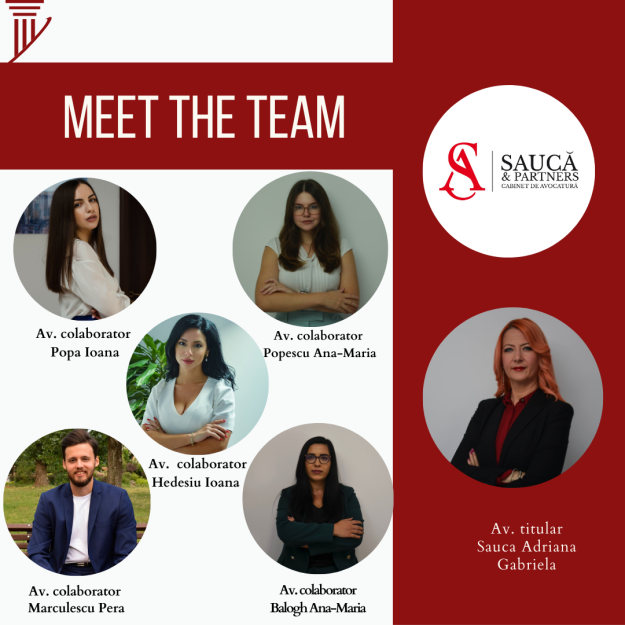 meet-team-lawyers-sauca.jpg